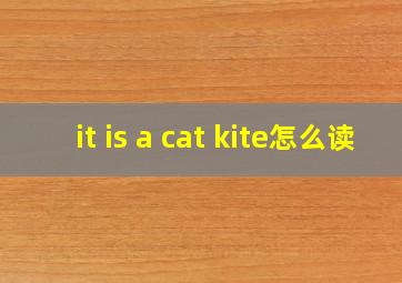 it is a cat kite怎么读